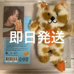 新品未開封　BOYNEXTDOOR プネクド　 トレカホルダー　コンプ　セット Amazon.co.jp: boynextdoor トレカ ums ユニバ盤 セット ボネクド