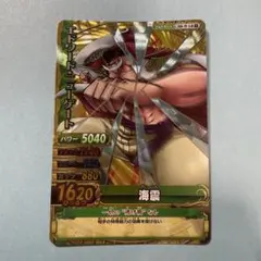 ワンピーベリーマッチW エドワード•ニューゲート GR