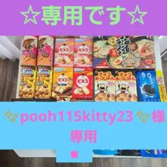 ✨pooh115kitty23✨様　専用です。　お菓子の詰め合わせセット♪