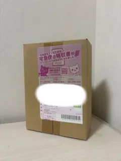 レイジングサーフ box シュリンク付き　ポケモンセンターオンライン産のサムネイル