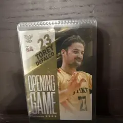 バレーボール Vコレ リアルカード デファルコ ジェイテクト STINGS愛知