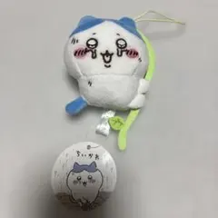 ハチワレ　穴に落ちちゃったマスコット