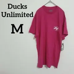 ピンク tシャツ