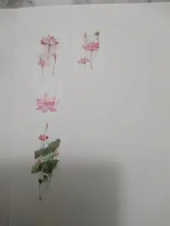 切り売り 睡蓮1  海外マステ 水彩画