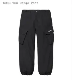 2025年最新】supreme gore-tex pantsの人気アイテム - メルカリ