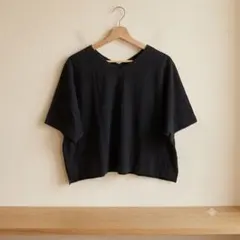 希少PLEATS PLEASE ISSEY MIYAKE　変形カットソー Lのサムネイル