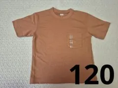 Item thumbnail for item 05bc4f8b-0fa9-47c9-a87f-0647dcd1c7fc