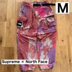 Item thumbnail for item 04969f01-ac34-41a5-b08e-a028cc119d40