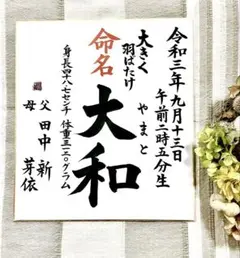 Item thumbnail for item 17c4747a-7c83-4f8d-ad89-71ea47055ce7