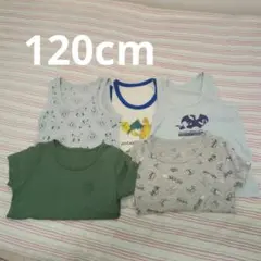 120cm アンダーシャツ 5枚セット
