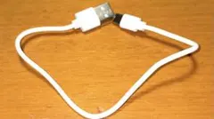 USB-A to C 充電ケーブル 約30cm