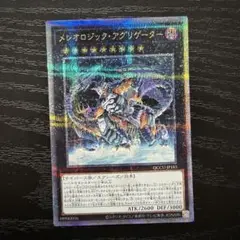 メレオロジックアグリゲーター 25