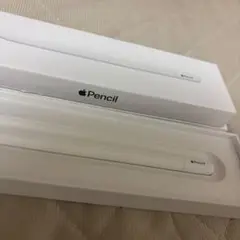 Apple Pencil (USB-C)