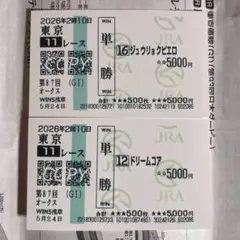 スティルインラブ アドマイヤグルーヴ オークス 単勝馬券 - メルカリ