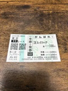 JRA 41일 2월 S 믹 파이어 응원 베팅 티켓