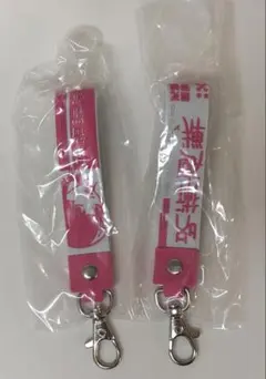呪術廻戦 一番くじ 死滅回遊～弐～L賞 ぽこっとちゃーむ 釘崎野薔薇 2個