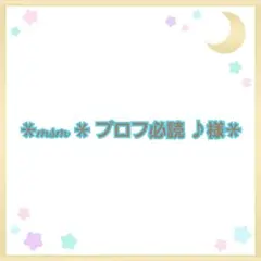 ＊msm ＊ プロフ必読 ♪＊様専用