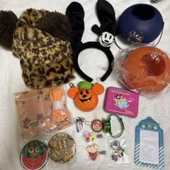 東京ディズニーリゾート グッズ セット