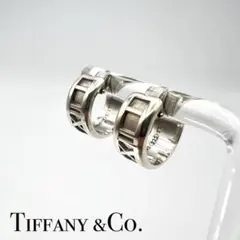 2025年最新】tiffany ピアス アトラスの人気アイテム - メルカリ