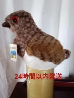 2026年最新】雷鳥のふる里の人気アイテム - メルカリ