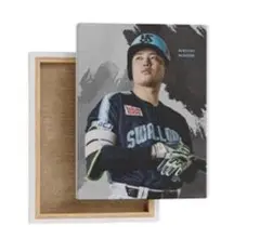 Item thumbnail for item 023c3fc7-f544-4d71-9129-c663c46be034