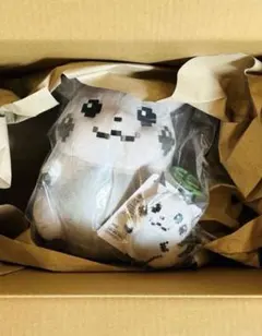 はじまりのピカチュウ　２点セット