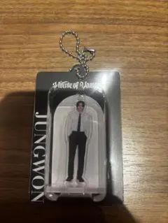 ジョンウォン ENHYPEN House of Vampire キーリング信頼