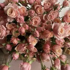 ★きなこ様　専用★