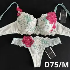 サルート 16G 白雪姫 P-upブラC70 & ソングM IV - メルカリ
