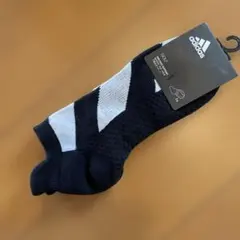 Item thumbnail for item 6919d1f8-0556-4053-8d49-6db391f3deff