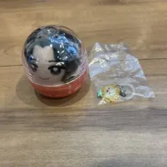 佐藤景瑚　まとめ売り　めじるしアクセサリー かぷっこれんず