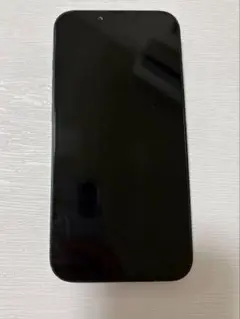 たぶん最終値下げ※動作確認済Apple iPhone 15 本体 128GB - メルカリ