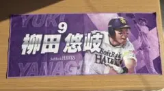 Item thumbnail for item a16c5000-ef85-4fda-8285-9a441bb72d50