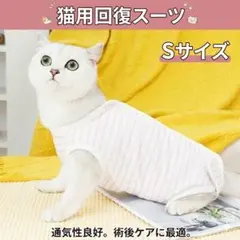 고양이 수술 후 옷 스몰 엘리자베스 컬러 얼터너티브 케어 핑크 스트라이프 코튼