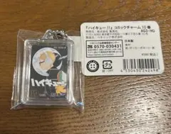 ハイキュー!! コミックチャーム 10巻