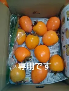 はる様専用の干し柿作り用の生の渋柿 Mサイズ22個箱入り５kg