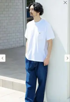 ダントン Danton Tシャツ コットン100%