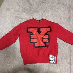 KAMIUCHIZAURUS様 専用