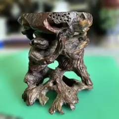 新品未使用　富貴蘭　山野草　鉢　龍の鉢　盆栽 新品未使用 富貴蘭 山野草 鉢 龍の鉢 盆栽 - メルカリ