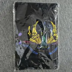 BE:FIRST ビーファースト SS席 特典グッズ - メルカリ