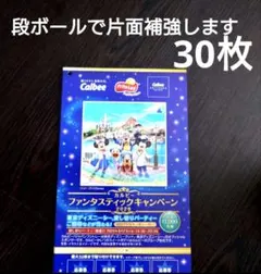 カルビーファンタスティックキャンペーン2026 応募はがき30枚 ディズニーのサムネイル