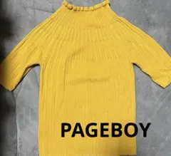 PAGEBOY フリーサイズ リブニット 半袖 マスタードイエロー 大人