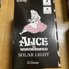 Alice in Wonderland Solar Light