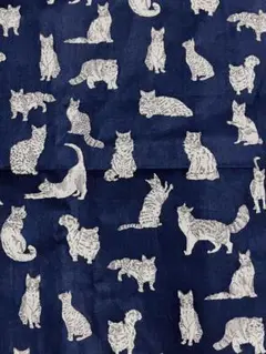 リバティ　タナローン生地　105cm