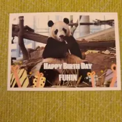 2025年最新】楓浜記念ファイルの人気アイテム - メルカリ