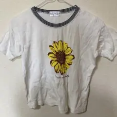 Item thumbnail for item 0ca977d2-ad00-4765-b316-2524331b4589