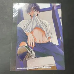 春の嵐とモンスター　花とゆめ　付録　ブロマイド