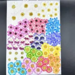 紅茶染め カラフルレースセット 60cm×40種 2670K-016 - メルカリ