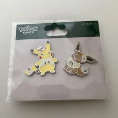 ポケパーク KANTO ピカチュウ イーブイ ピンズセット ピカブイ - メルカリ