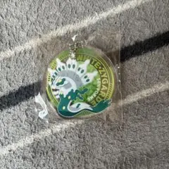 色違いジガルデ　キーホルダー